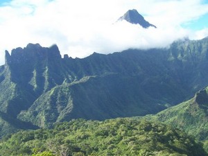 Other benefits of invasive plant management 2