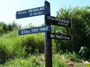 Other benefits of invasive plant management