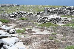 Before Eradication - 2008