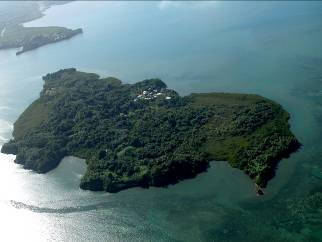 The people of Viwa Island, Fiji, consider Pacific rats to be a major pest as they eat their crops and stored foodstuffs; they reported up to 50% crop losses. This was the incentive for an eradication project in 2006. (Photo: Rob Chappell)